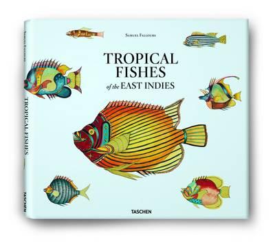 Samuel Fallours: Tropical Fishes of the East Indies
