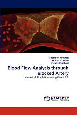 Blood Flow Analysis through Blocked Artery
