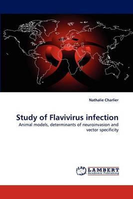 Study of Flavivirus Infection