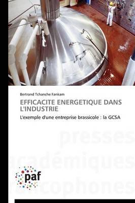 Efficacite Energetique Dans l'Industrie