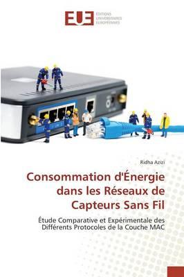 Consommation d'Énergie dans les Réseaux de Capteurs Sans Fil