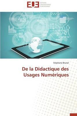 de la Didactique Des Usages Numeriques