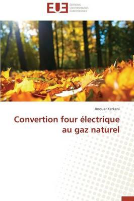 Convertion four électrique au gaz naturel