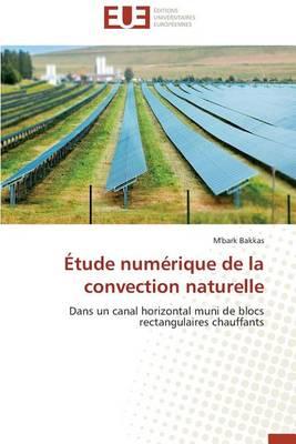 Etude Numerique de la Convection Naturelle