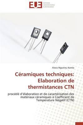 C�ramiques Techniques: Elaboration de Thermistances Ctn