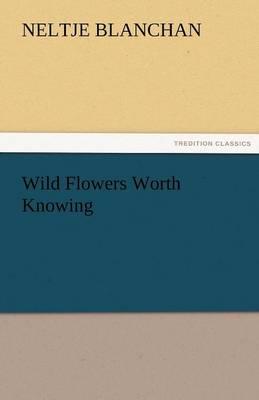 Wild Flowers Worth Knowing