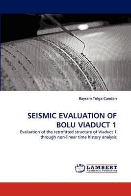 Seismic Evaluation of Bolu Viaduct 1