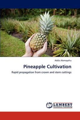 Pineapple Cultivation