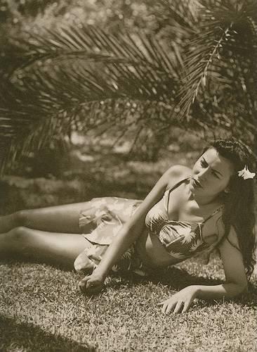 Miami Beach: Blueprint of an Eden: Lives Seen Through the Prism of Family and Place