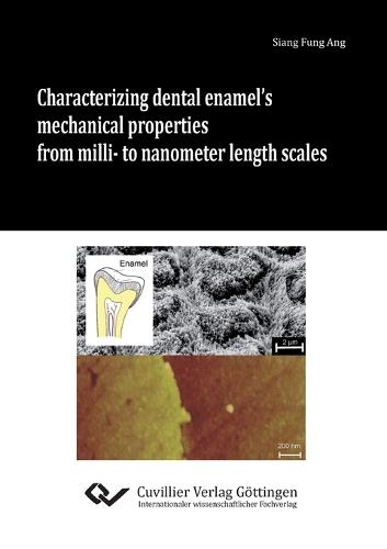 Characterizing dental enamel's mechanical properties from milli- to nanometer length scales