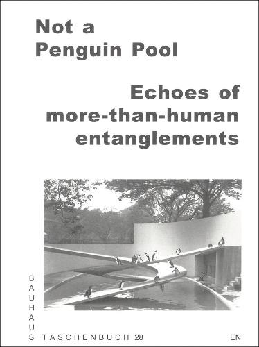 Not a Penguin Pool: Echoes of More-Than-Human Entanglements