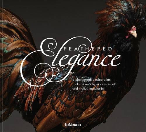 Feathered Elegance: A Photographic Celebration of Chickens