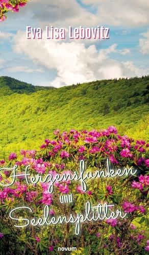 Herzensfunken und Seelensplitter