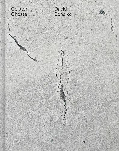 David Schalko: Ghosts