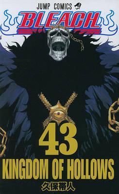 Bleach, Volume 43: Kingdom Of Hollows