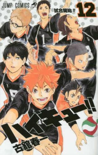 Haikyu!! 12