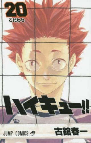 Haikyu!! 20