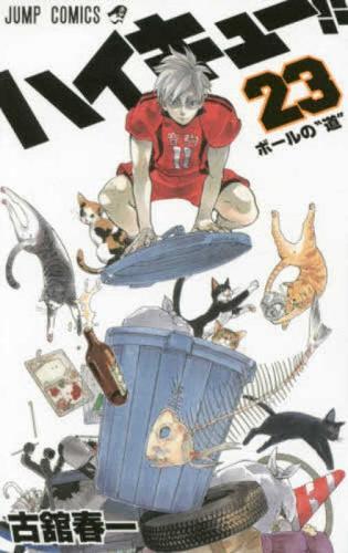 Haikyu!! 23