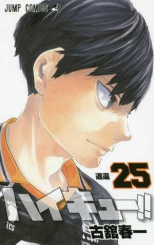 Haikyu!! 25