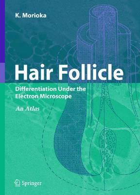 Hair Follicle: Differentiation under the Electron Microscope - An Atlas