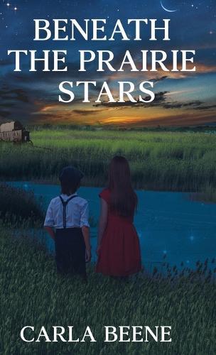 Beneath the Prairie Stars
