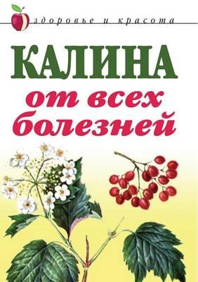 &#1050;&#1072;&#1083;&#1080;&#1085;&#1072; &#1086;&#1090; &#1074;&#1089;&#1077;&#1093; &#1073;&#1086;&#1083;&#1077;&#1079;&#1085;&#1077;&#1081;