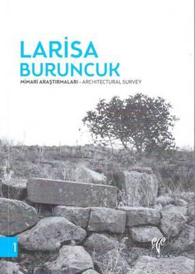Larisa Buruncuk: Mimari Arastirmalari - Architectural Survey