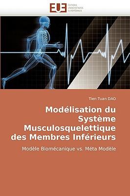 Modlisation Du Systme Musculosquelettique Des Membres Infrieurs