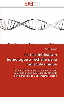 La Recombinaison Homologue L'Chelle de La Molcule Unique