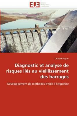 Diagnostic Et Analyse de Risques Li S Au Vieillissement Des Barrages