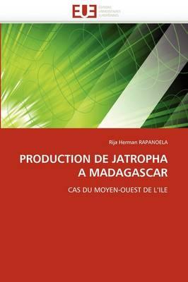 Production de Jatropha a Madagascar
