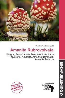Amanita Rubrovolvata