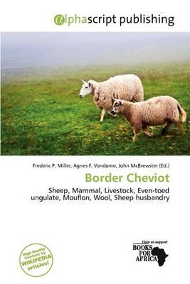 Border Cheviot