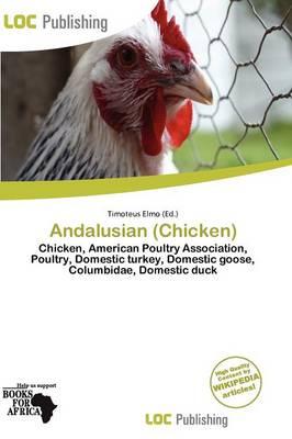 Andalusian (Chicken)