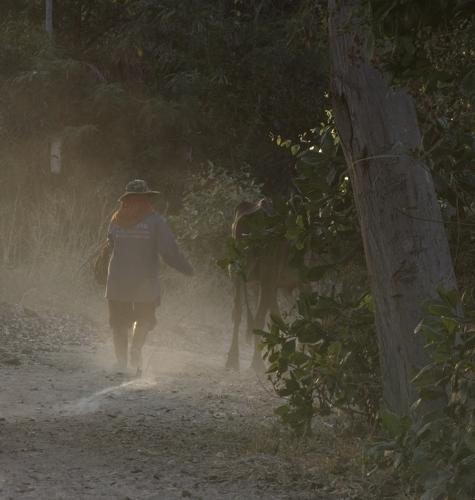 The Village