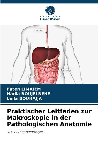Praktischer Leitfaden zur Makroskopie in der Pathologischen Anatomie