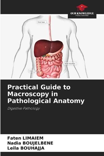Practical Guide to Macroscopy in Pathological Anatomy
