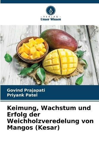 Keimung, Wachstum und Erfolg der Weichholzveredelung von Mangos (Kesar)