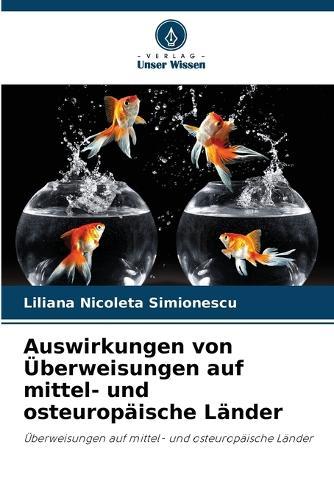 Auswirkungen von Überweisungen auf mittel- und osteuropäische Länder