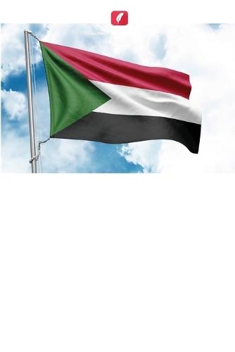 Efeito da irradiação gama