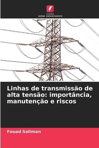 Linhas de transmissão de alta tensão: importância, manutenção e riscos