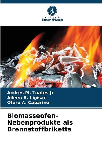 Biomasseofen-Nebenprodukte als Brennstoffbriketts