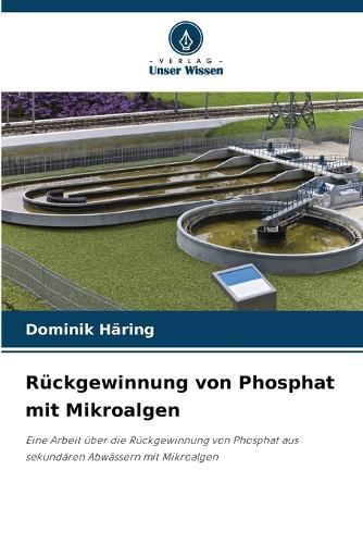 Rückgewinnung von Phosphat mit Mikroalgen