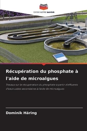 Récupération du phosphate à l'aide de microalgues