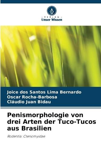 Penismorphologie von drei Arten der Tuco-Tucos aus Brasilien