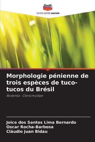 Morphologie pénienne de trois espèces de tuco-tucos du Brésil