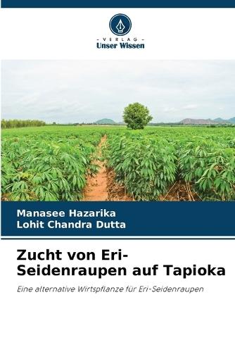 Zucht von Eri-Seidenraupen auf Tapioka