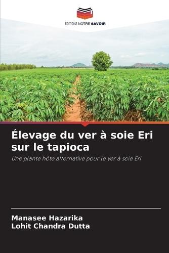 Élevage du ver à soie Eri sur le tapioca