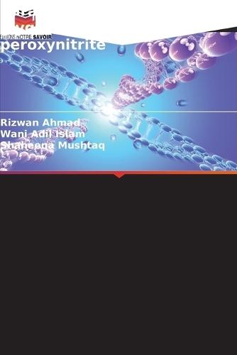 Caractérisation de l'ADN glyqué modifié par le peroxynitrite