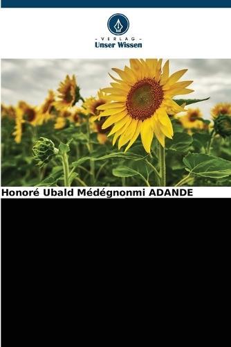 Modernisierung Der Haushaltsmüllentsorgung in Benin